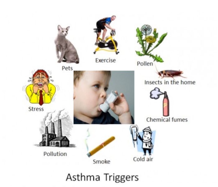 Asthma and Its Triggers