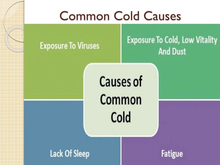 Causes for Colds